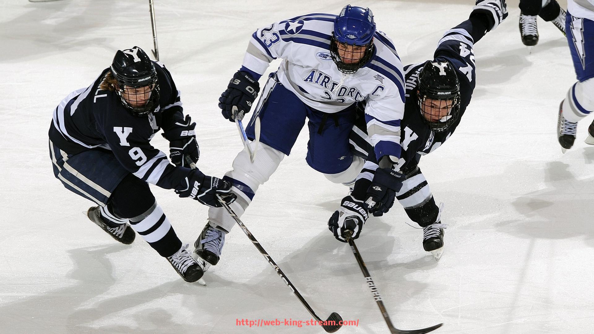 王者体育直播-火箭队2005年季后赛历程与对手回顾